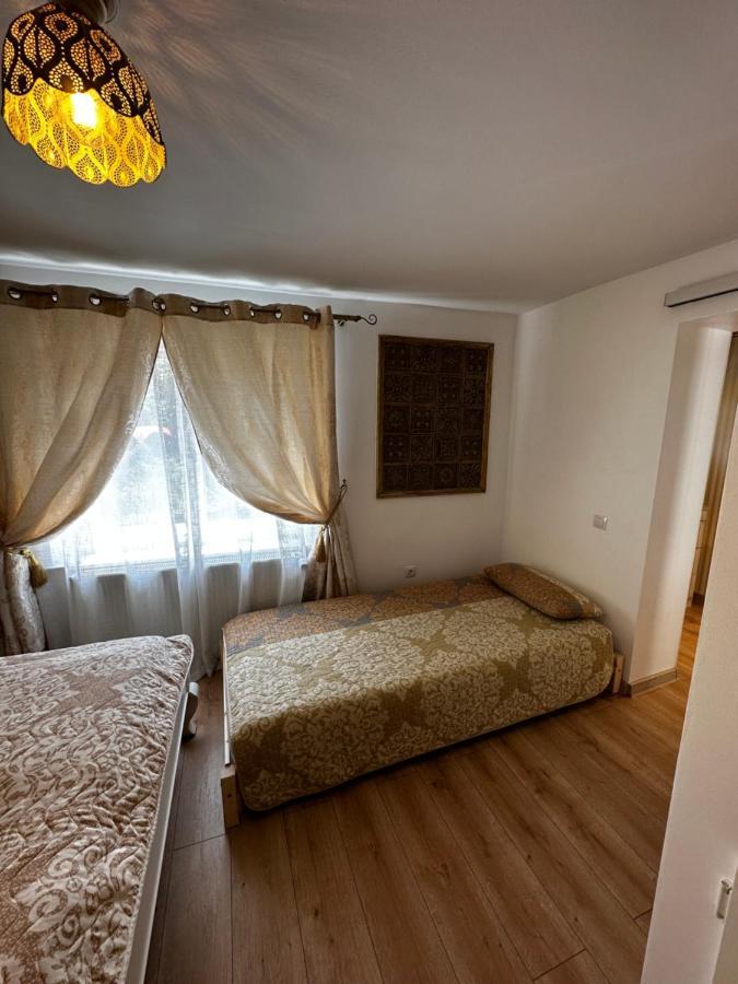 Harteneck Sibiu